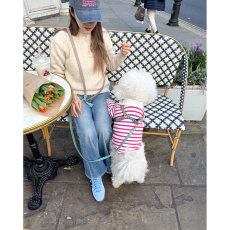 [London]ノッティングヒルグロー・ハーネス