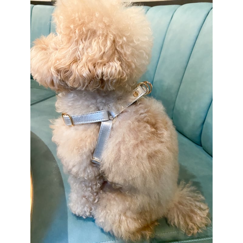 イニシャルーハーネス[シルバー] | Qoo Chi Qoo