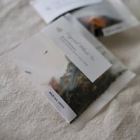 ハーブと煎茶