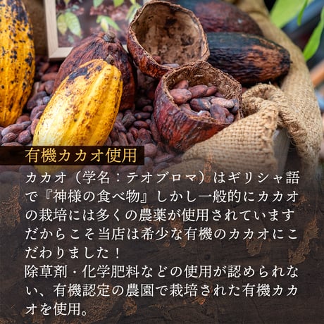 【低ＧＩ】濃厚な有機ガトーショコラ