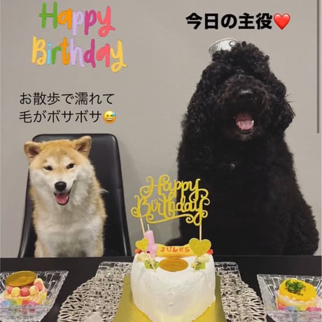 【無添加】ワンコごはん