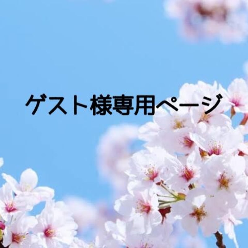 さくらさま専用 さくら様 2025年最新】ゼクス さくらの人気アイテム - メルカリ