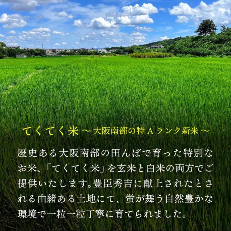 64cc4832fc29e8003532f51a