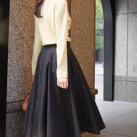 audrey flare skirt
