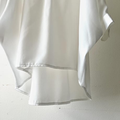 Dolman Sleeve Design Sheer Blouse