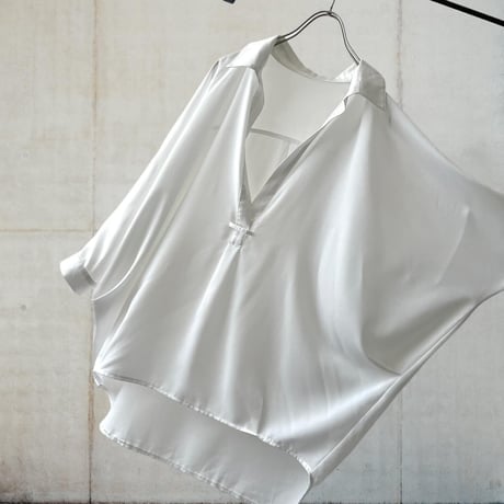 Dolman Sleeve Design Sheer Blouse