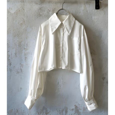Big Collar Design Short White Blouse