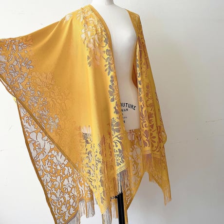Lace and Fringe Design Cape