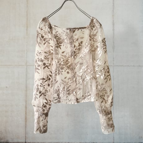 Embroidery Botanical Pattern Short Sheer Blouse