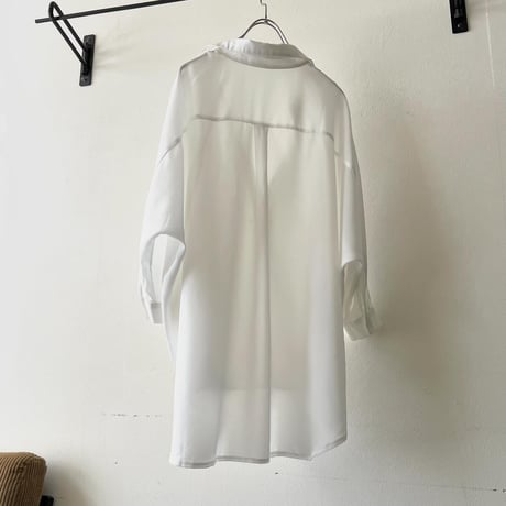 Dolman Sleeve Design Sheer Blouse