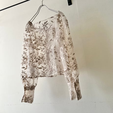 Embroidery Botanical Pattern Short Sheer Blouse