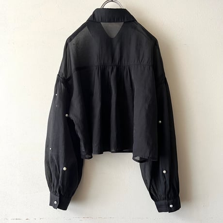 Bijou Dot Design Sheer Short Blouse