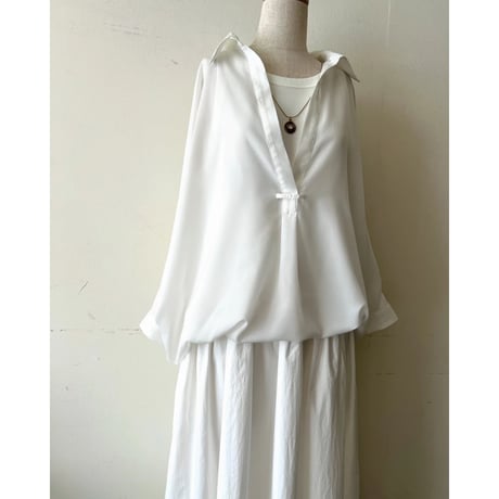 Dolman Sleeve Design Sheer Blouse