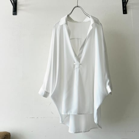 Dolman Sleeve Design Sheer Blouse