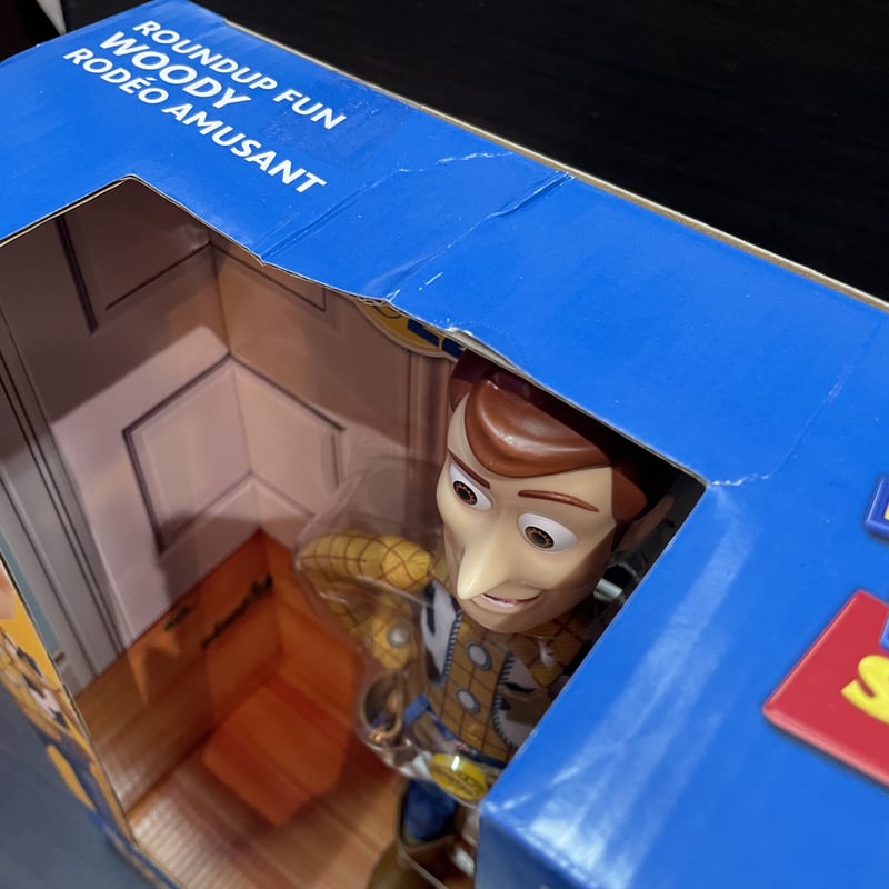 USA直輸入】DISNEY PIXAR ラウンドアップファン トイストーリー USA直輸入】DISNEY PIXAR ラウンドアップファン トイストーリー