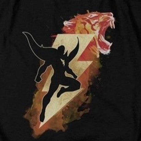 【USA直輸入】DC　Shazam　シャザム　ムービー　タイガー　ボルト　Tシャツ　Sサイズ　ジャスティスリーグ　DCコミックス　ザッカリー・リーヴァイ　シャザム!