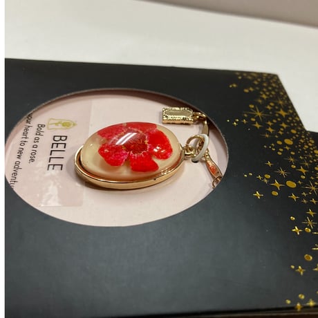 【USA直輸入】DISNEY　美女と野獣　ベル　本 ＆ レッド ドライフラワー　ペンダント　ネックレス　ディズニー　アクセサリー　プリンセス　ドレス