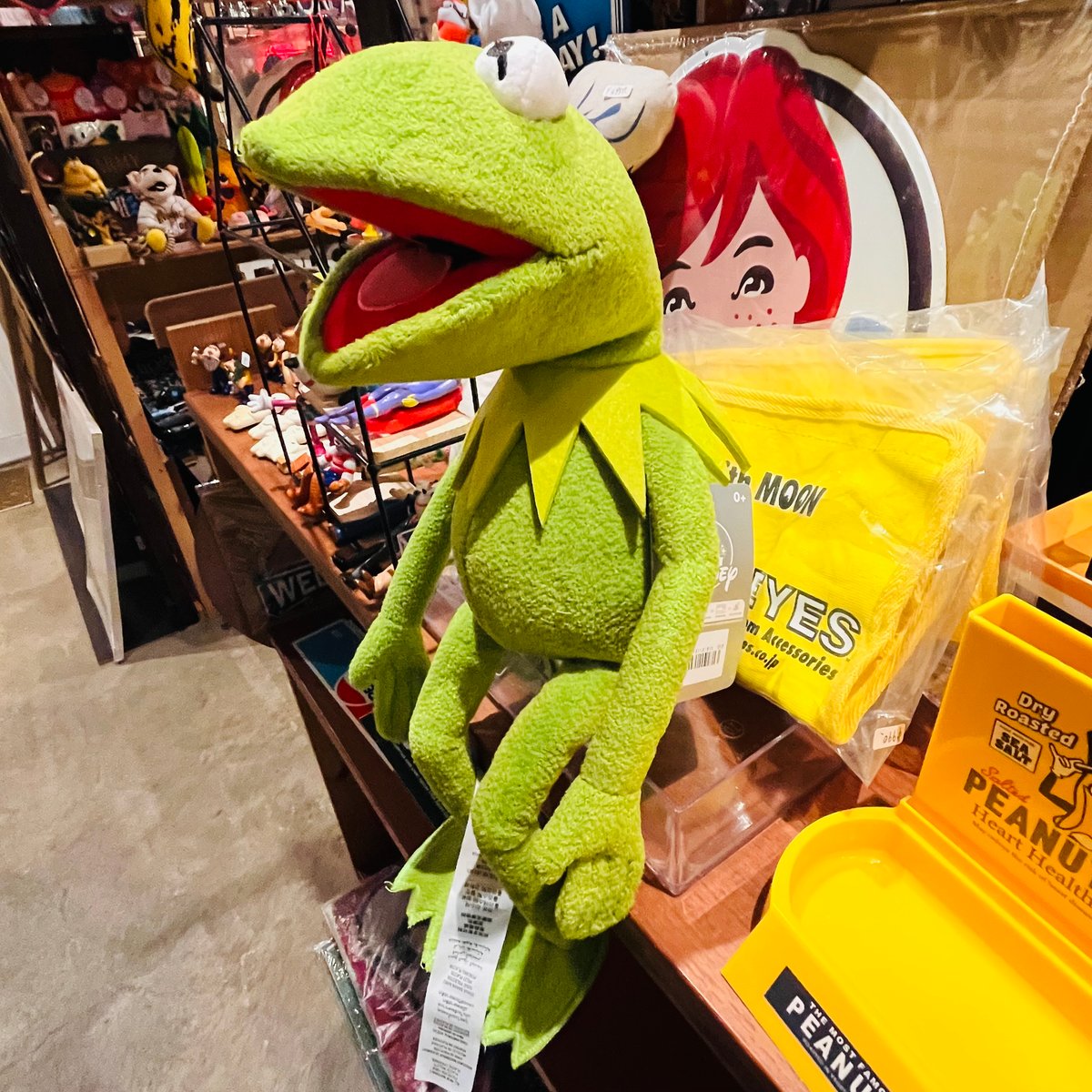 【USA直輸入】the muppets　マペッツ　カーミット　ザ　フロッグ　Kermit　　ぬいぐるみ　人形 フラッシュ　セサミストリート　マペット　 ディズニー　disney