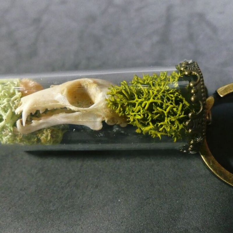 コウモリ頭骨のキーホルダー | 魔界ノ風鷹