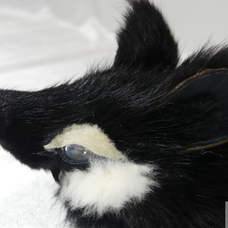 管狐ページ 管狐 のアクセ(黒) | 魔界ノ風鷹