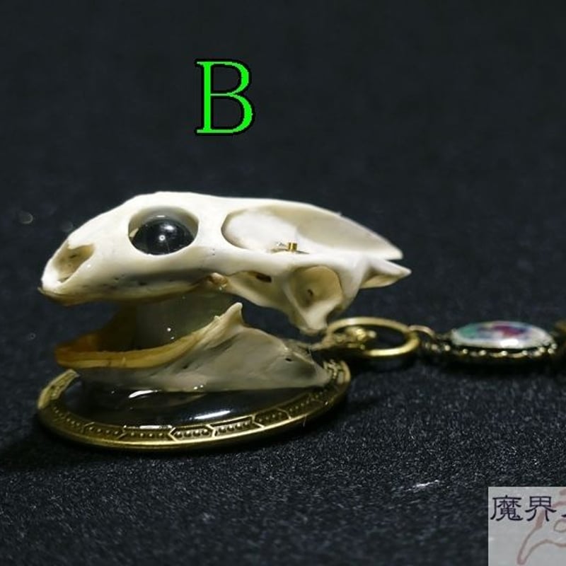 猿　頭蓋骨　キーホルダー 猿 骸骨 ラバー キーホルダー - メルカリ