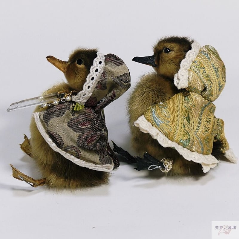 おめかしアヒルひな鳥の剥製（茶） | 魔界ノ風鷹