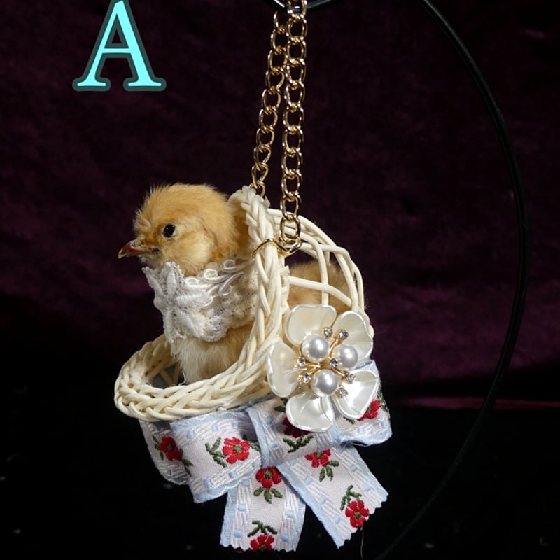 ひよこのゆりかご | 魔界ノ風鷹