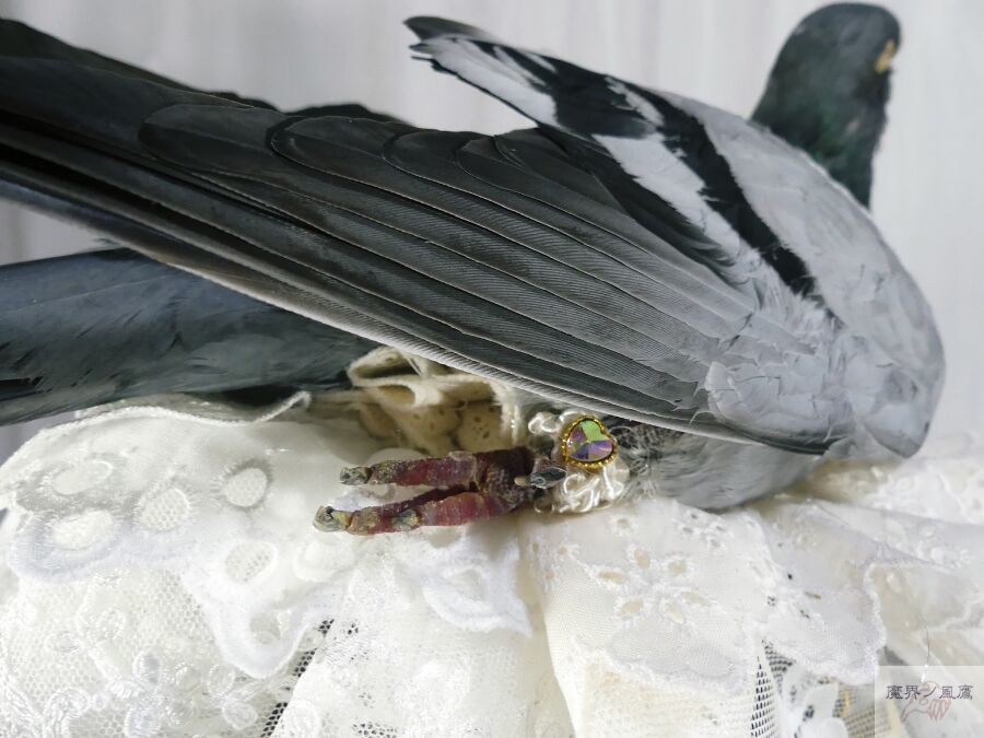 鳩-Heart Hat （灰二引） | 魔界ノ風鷹