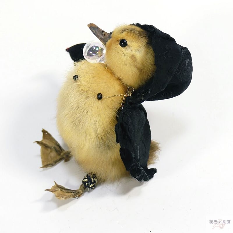 おめかしアヒルひな鳥の剥製（黄） | 魔界ノ風鷹