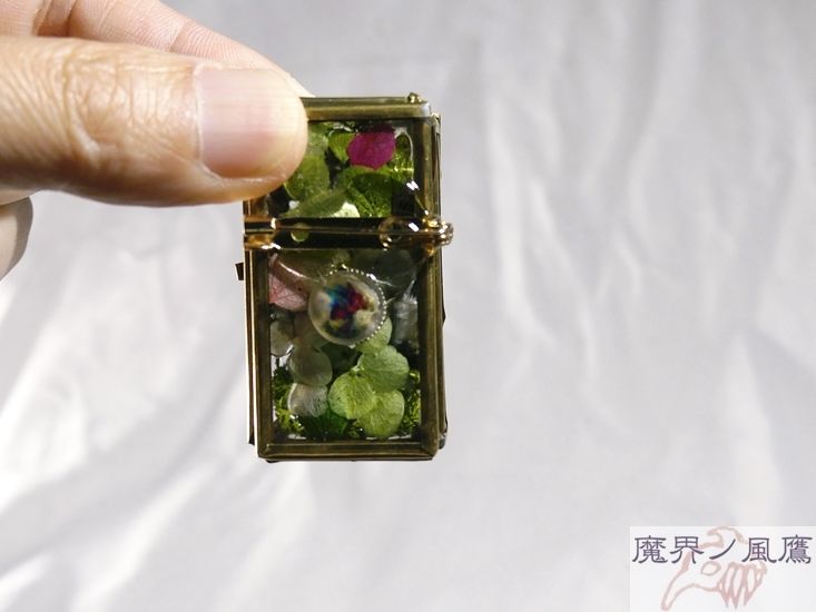 硝子小箱の剥製ブローチ(小) | 魔界ノ風鷹