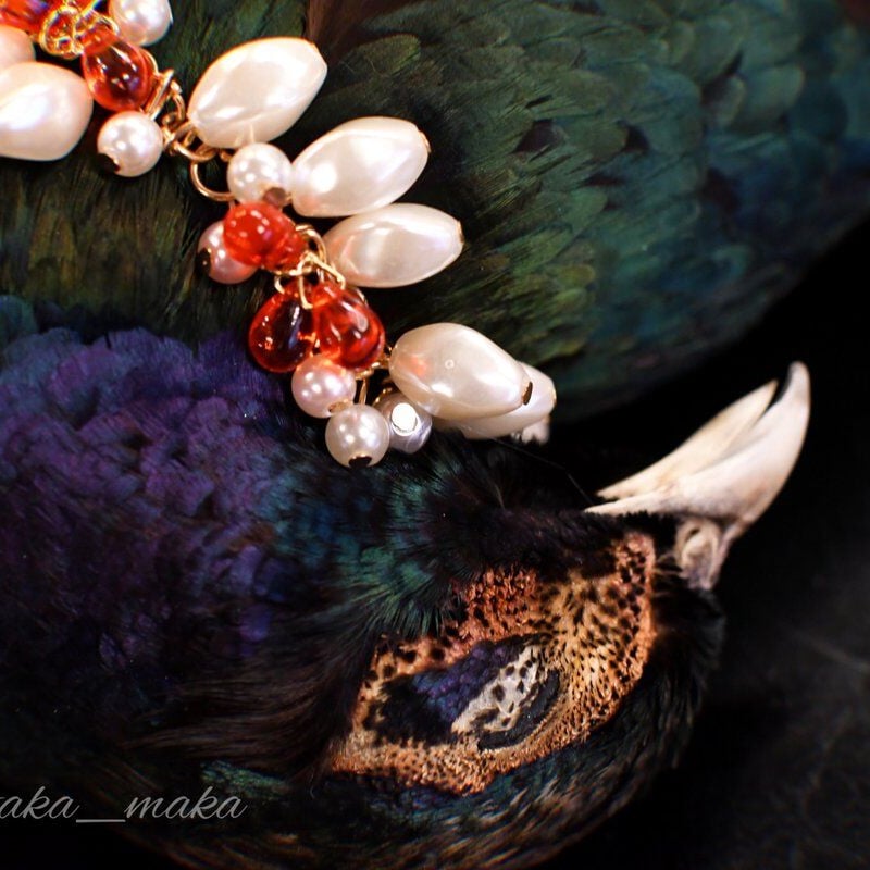 ‼️本物剥製‼️ 日本のキジ‼️プロが剥製‼️オマケ付き(o^－^o) 本物剥製‼️ 日本のキジ‼️プロが剥製‼️オマケ付き(o^－^o) - メルカリ