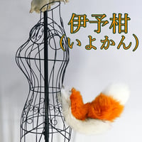 くるりん☆けもののしっぽ（伊予柑）