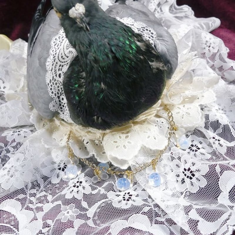 鳩-Heart Hat （灰二引） | 魔界ノ風鷹