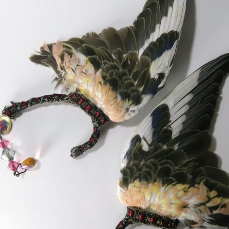 アキクサインコの翼イヤーフック