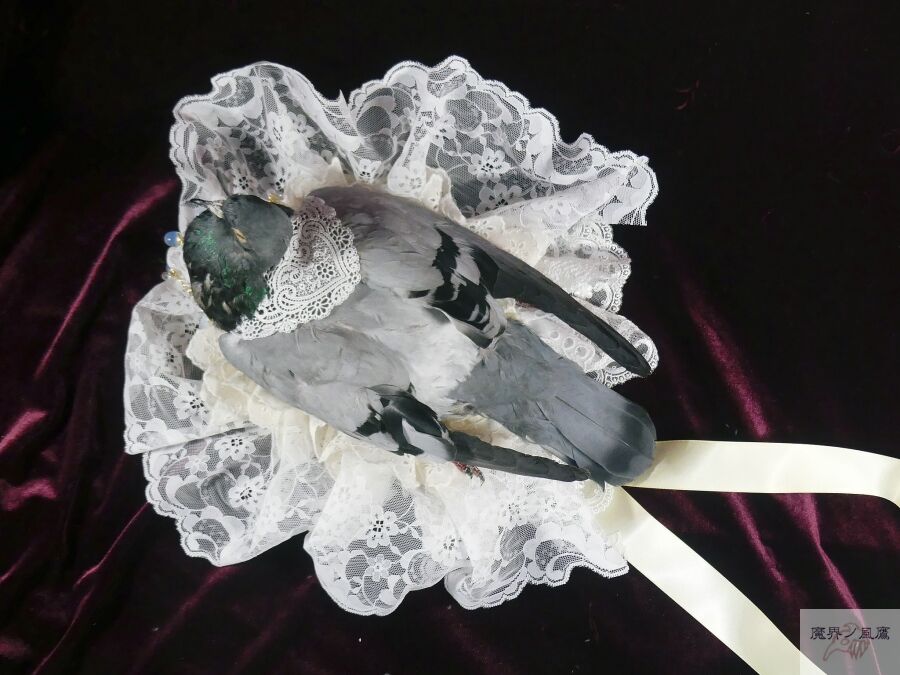 鳩-Heart Hat （灰二引） | 魔界ノ風鷹