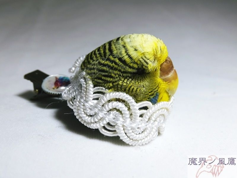 インコのヘアクリップ | 魔界ノ風鷹