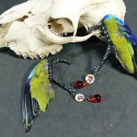 インコの翼イヤーフック （はねやすめ・緑）
