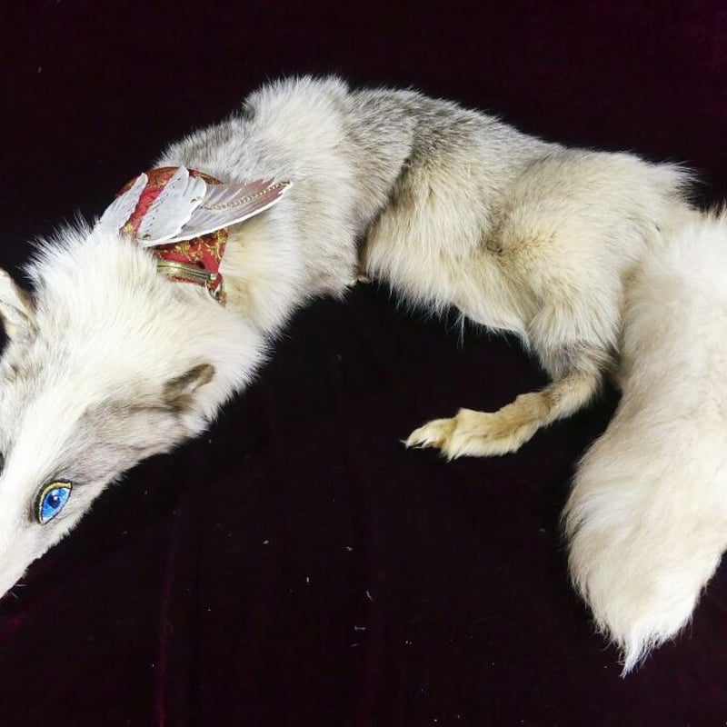 けものショルダー（プラチナフォックス） | 魔界ノ風鷹