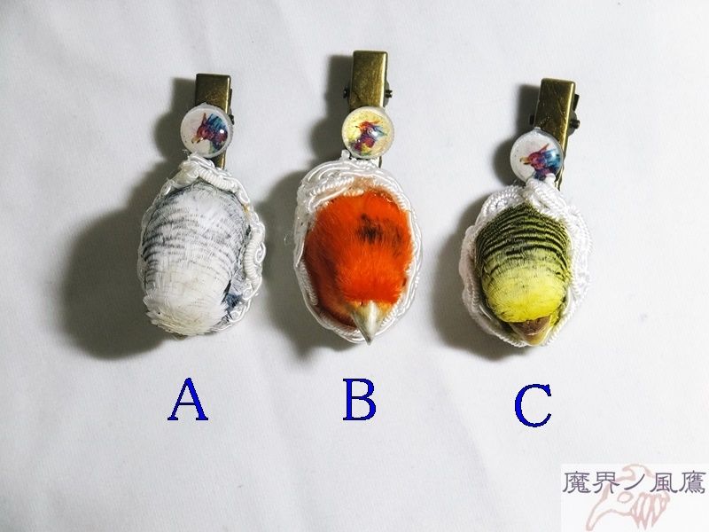 インコのヘアクリップ | 魔界ノ風鷹