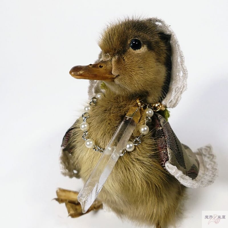 おめかしアヒルひな鳥の剥製（茶） | 魔界ノ風鷹
