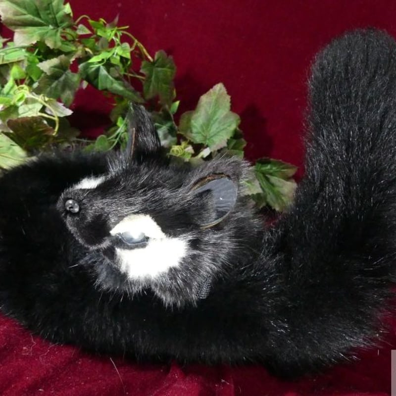 管狐ページ 管狐 のアクセ(黒) | 魔界ノ風鷹