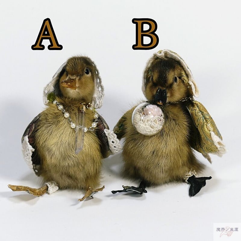 おめかしアヒルひな鳥の剥製（茶） | 魔界ノ風鷹
