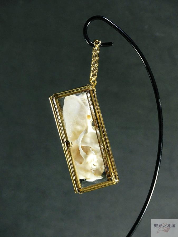 頭骨の硝子標本箱(大)ミンク | 魔界ノ風鷹