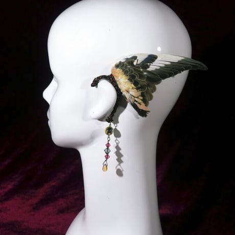 アキクサインコの翼イヤーフック
