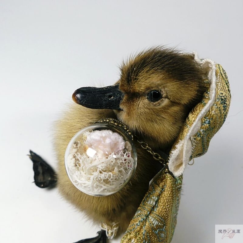 おめかしアヒルひな鳥の剥製（茶） | 魔界ノ風鷹