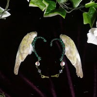 インコの翼イヤーフック （はねやすめ・薄緑）