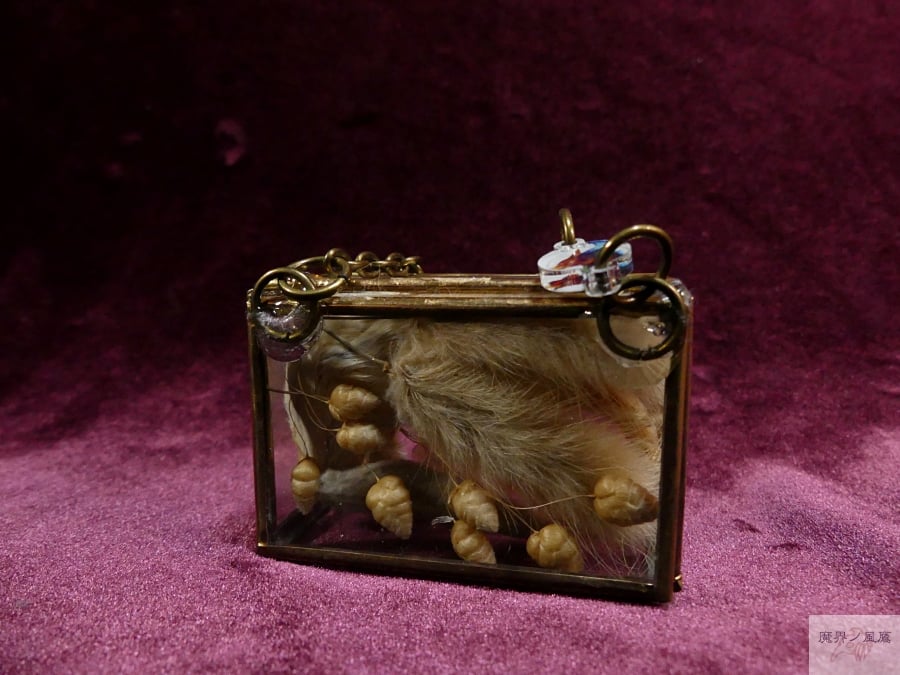 硝子の標本箱（ネズミ） | 魔界ノ風鷹