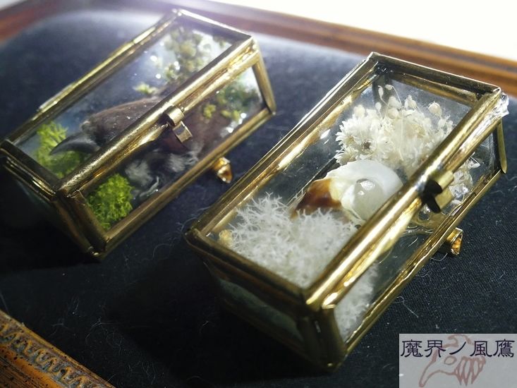 フライブローチ額入り装飾品 フライブローチ額入り装飾品 美濃焼タイル額縁ブローチ【七窯社