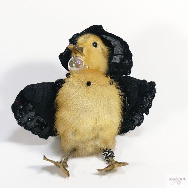 おめかしアヒルひな鳥の剥製（黄） | 魔界ノ風鷹