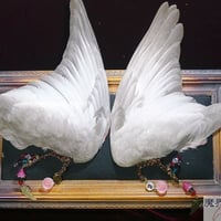 モモイロインコの翼イヤーフック